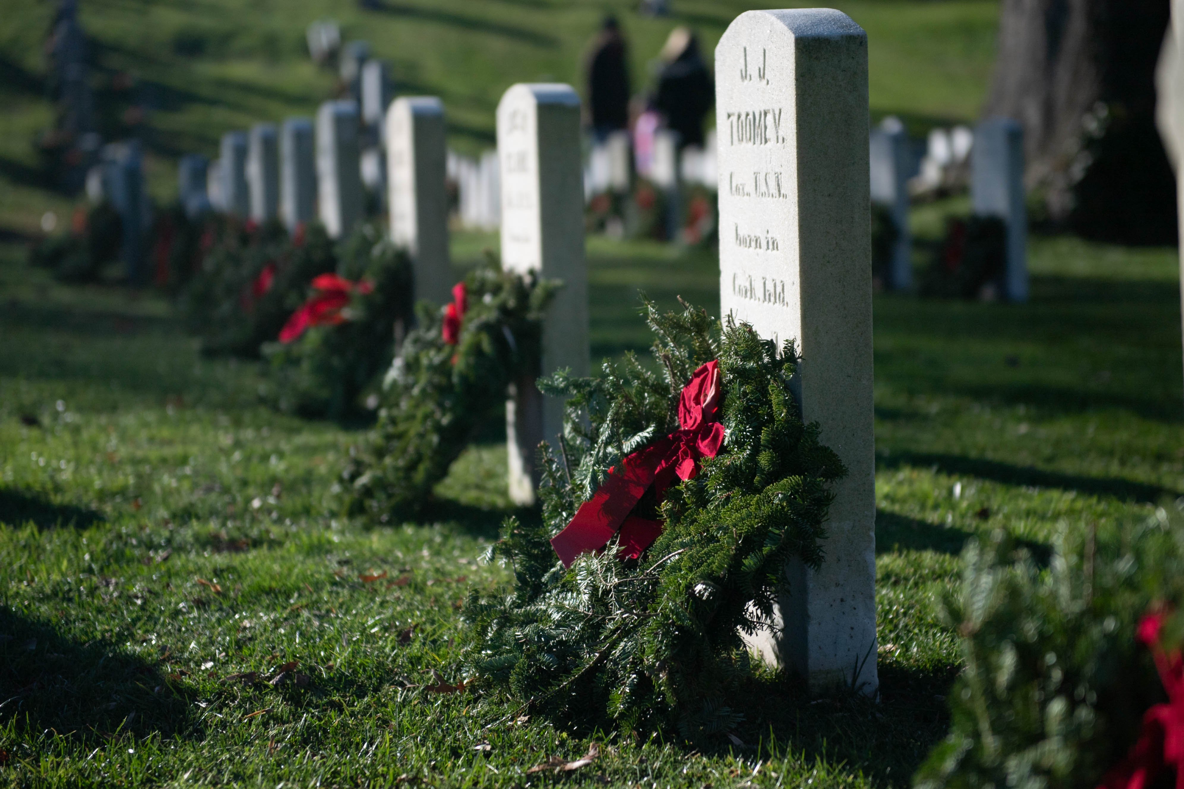 52559502924_91c7fbce6c_o